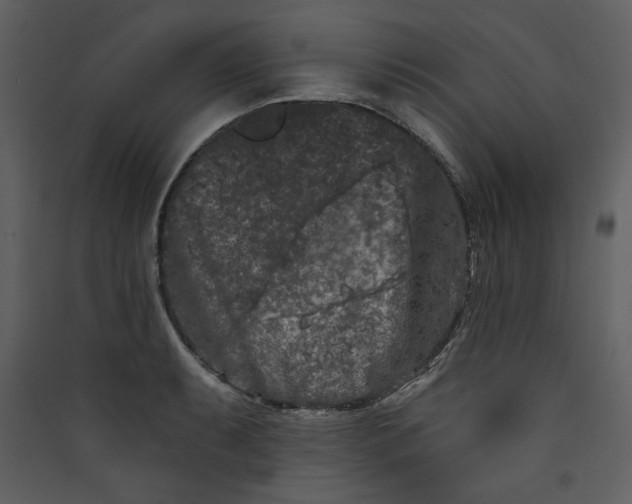 X0000089911087200707131344