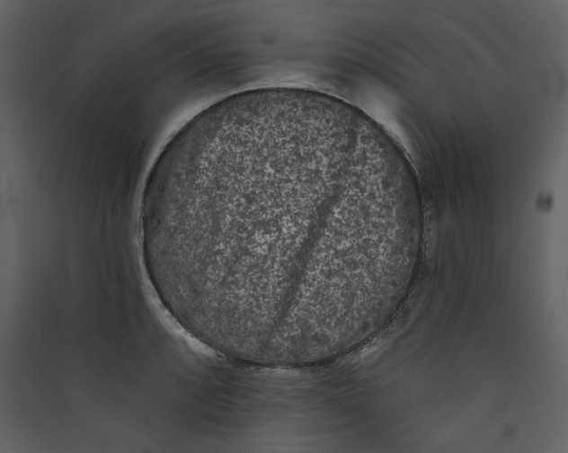 X0000089911088200707131344