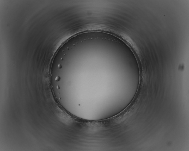X0000089911089200707131344