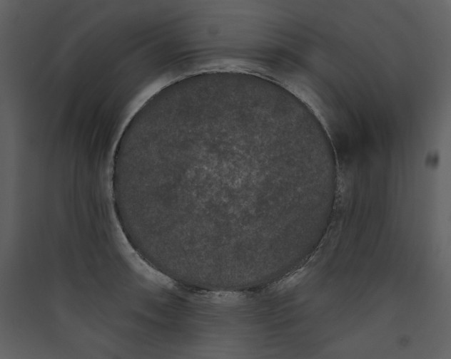 X0000089911090200707131344
