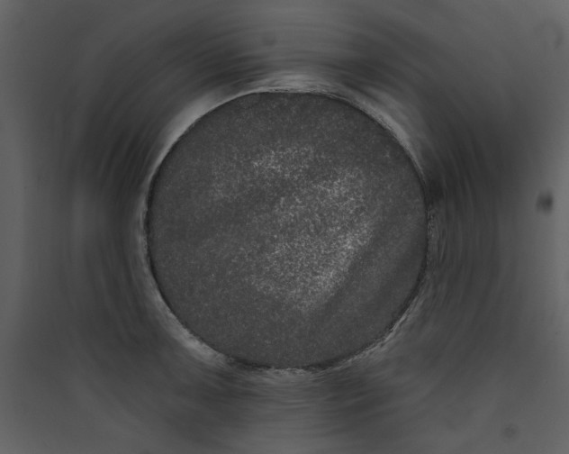 X0000089911091200707131344