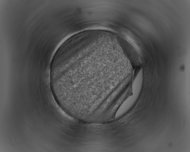 X0000089911092200707131344