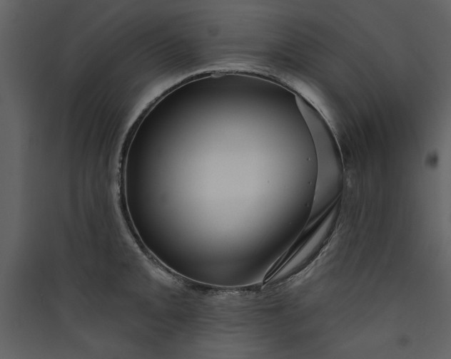X0000089911093200707131344