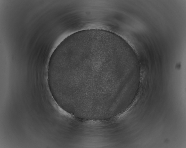 X0000089911094200707131344
