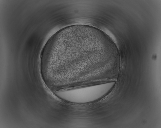 X0000089911096200707131344