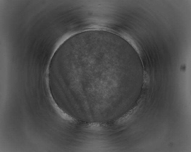 X0000089911098200707131344