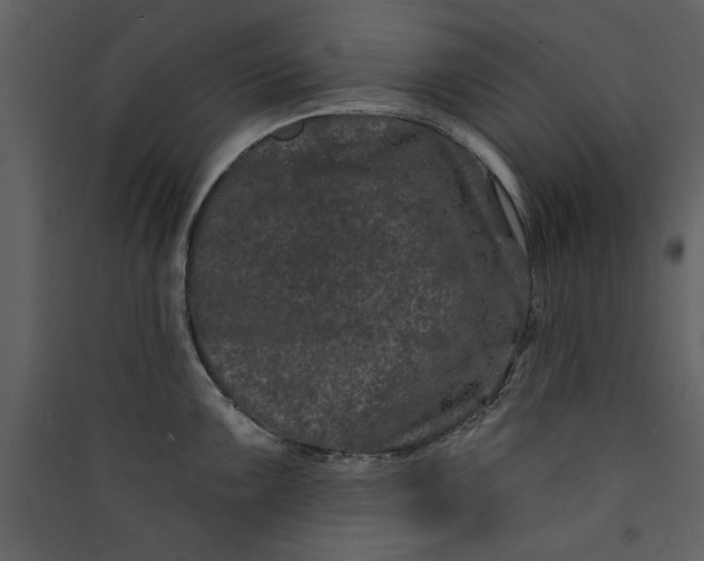 X0000089911099200707131344