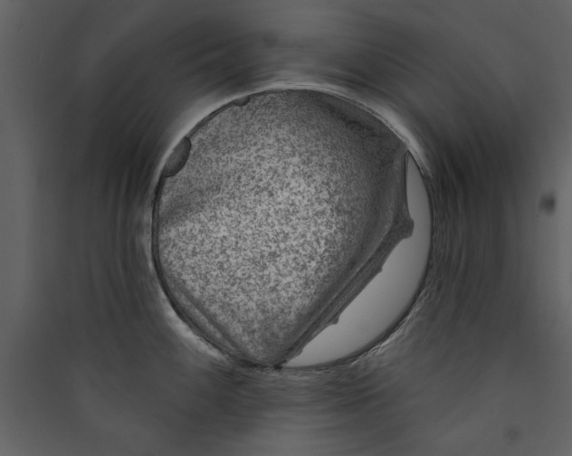 X0000089911100200707131344
