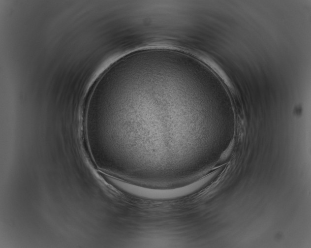 X0000089911101200707131344