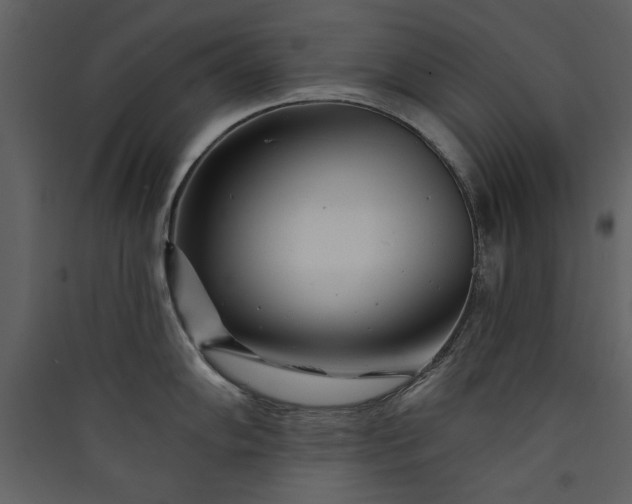 X0000089911102200707131344