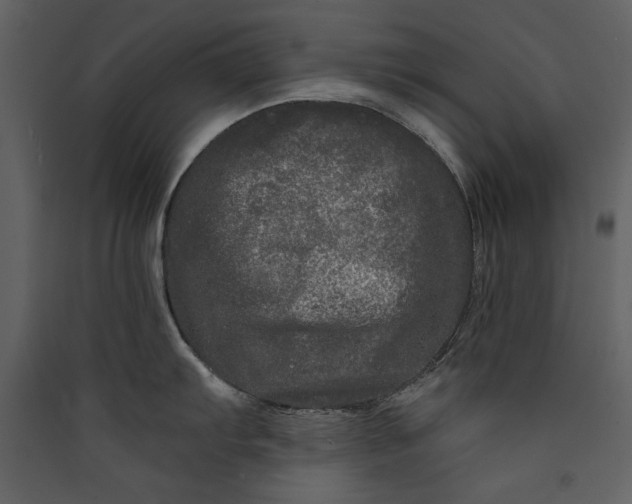 X0000089911103200707131344