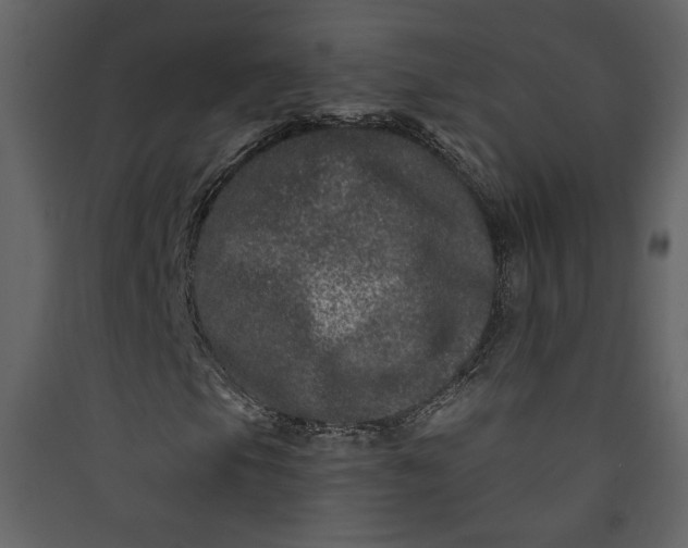 X0000089911105200707131343