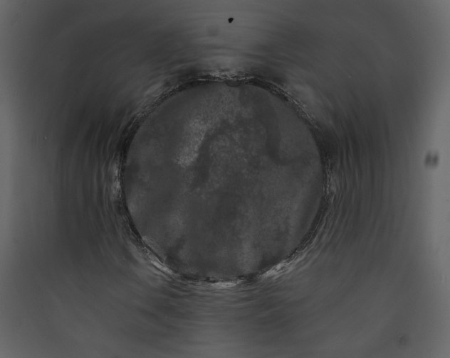 X0000089911106200707131343