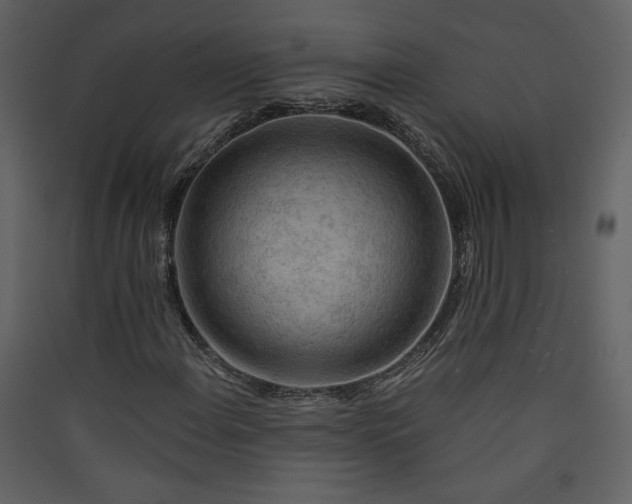 X0000089911108200707131343