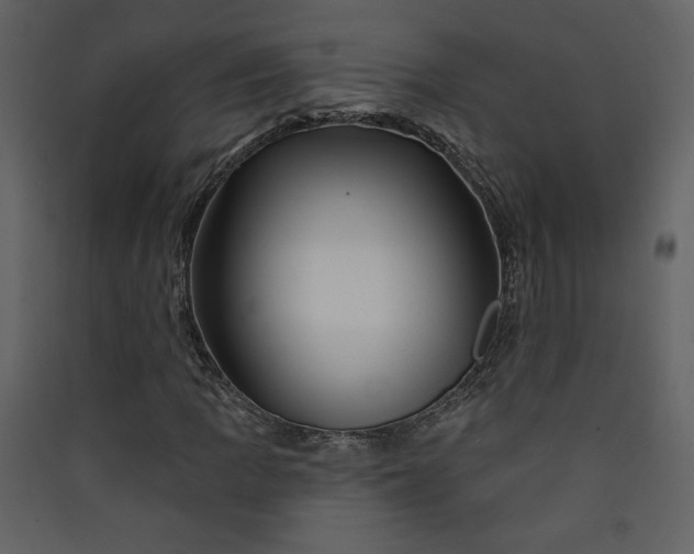 X0000089911109200707131343