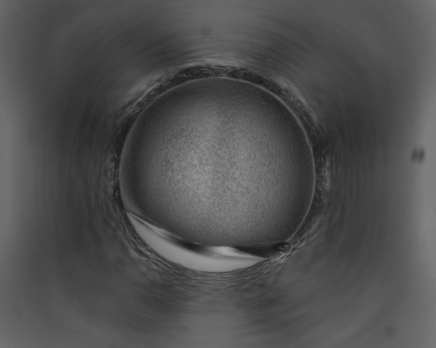 X0000089911110200707131343