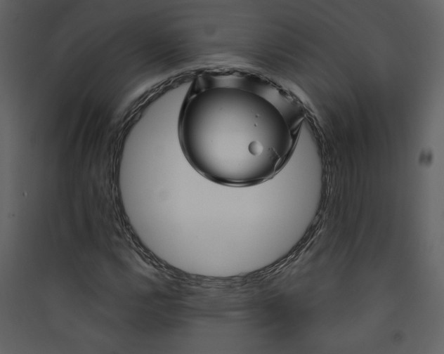X0000089911112200707131343