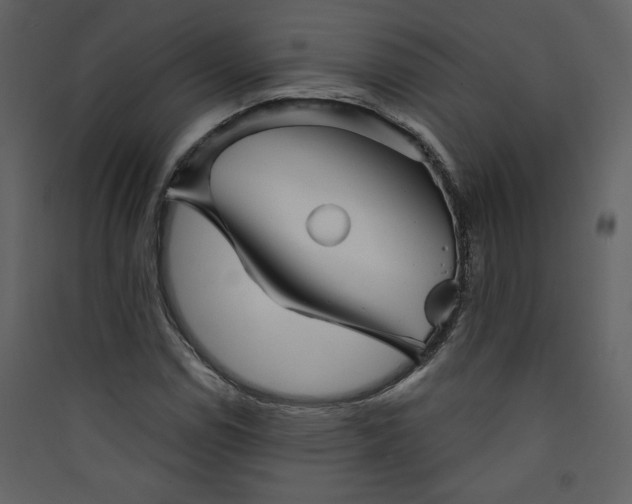 X0000089911114200707131343