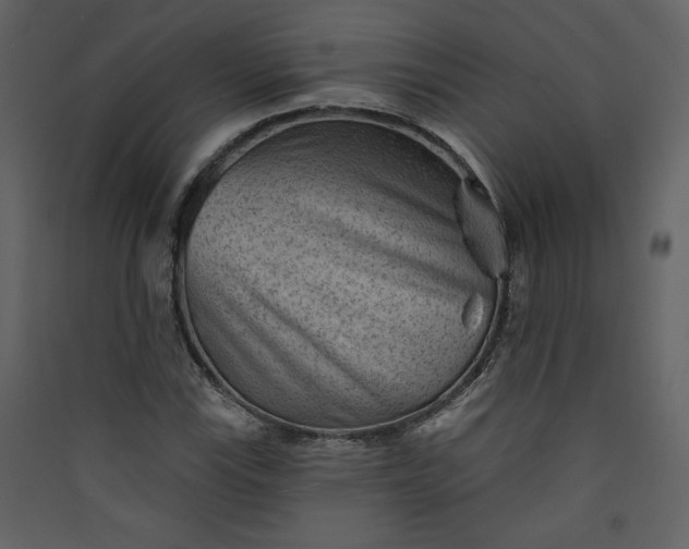 X0000089911115200707131344
