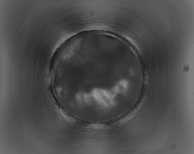 X0000089911117200707131344