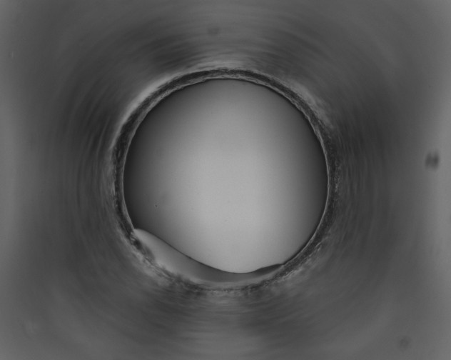 X0000089911118200707131344
