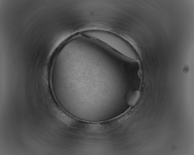 X0000089911120200707131344