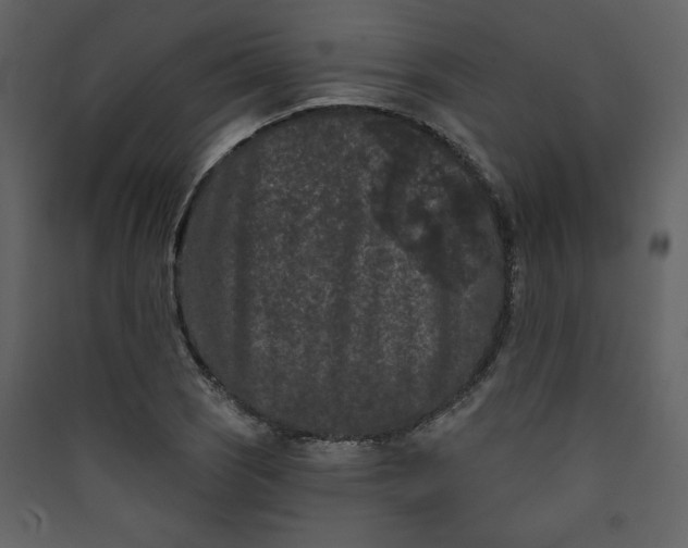 X0000089911121200707131344