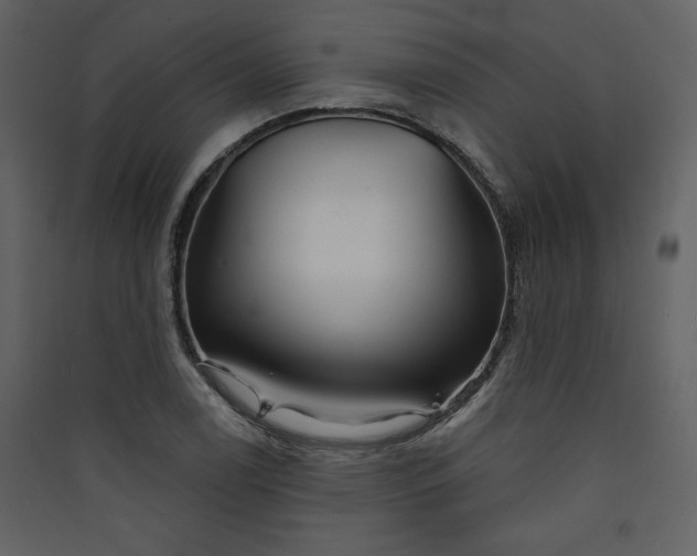 X0000089911122200707131344