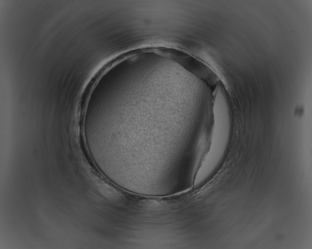 X0000089911124200707131344