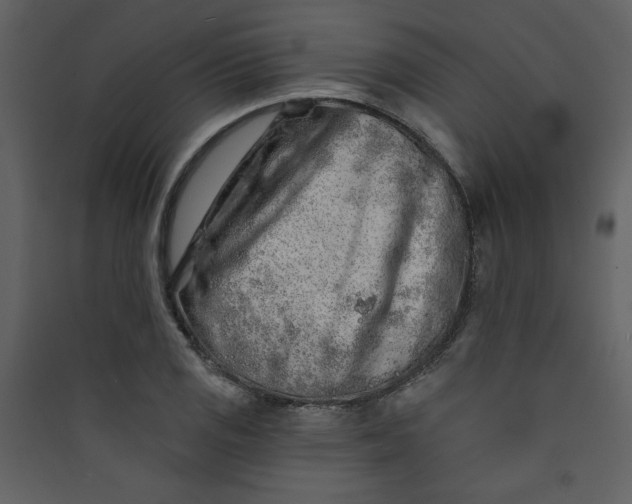 X0000089911125200707131344