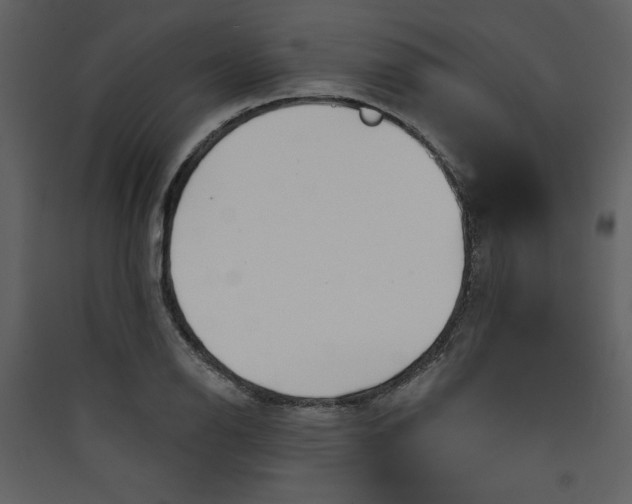 X0000089911126200707131344