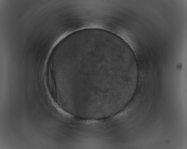 X0000089911127200707131344