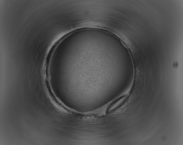 X0000089911128200707131344