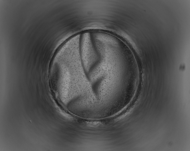 X0000089911129200707131344