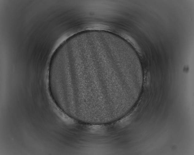X0000089911130200707131344