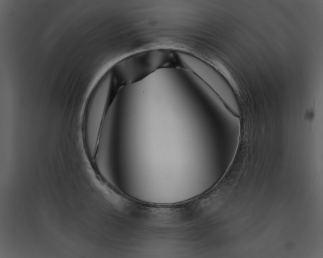 X0000089911132200707131344