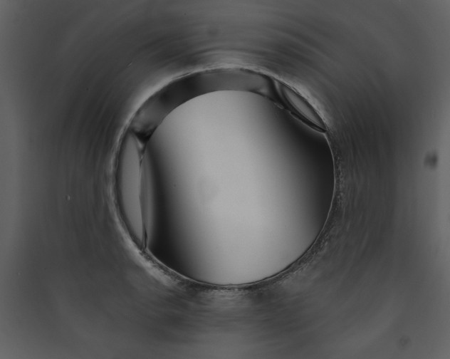 X0000089911134200707131344