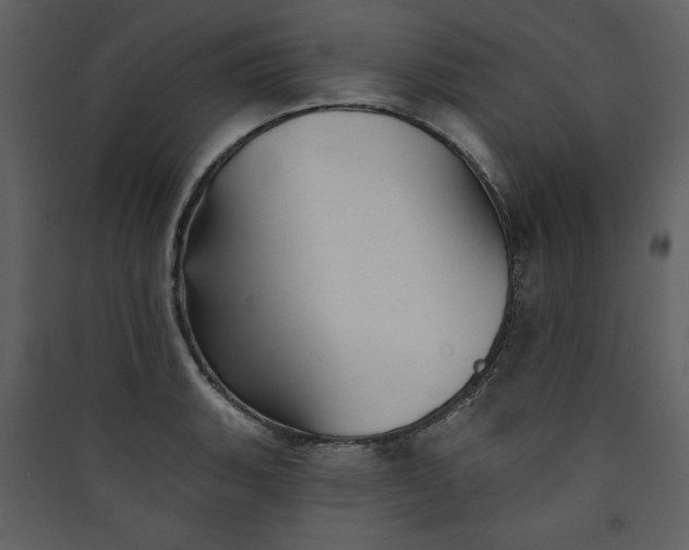 X0000089911135200707131344