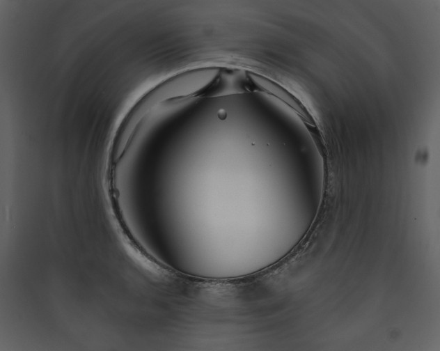 X0000089911136200707131344