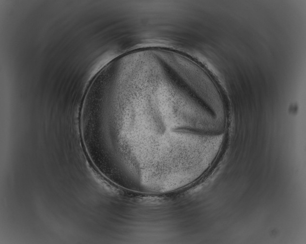 X0000089911137200707131344