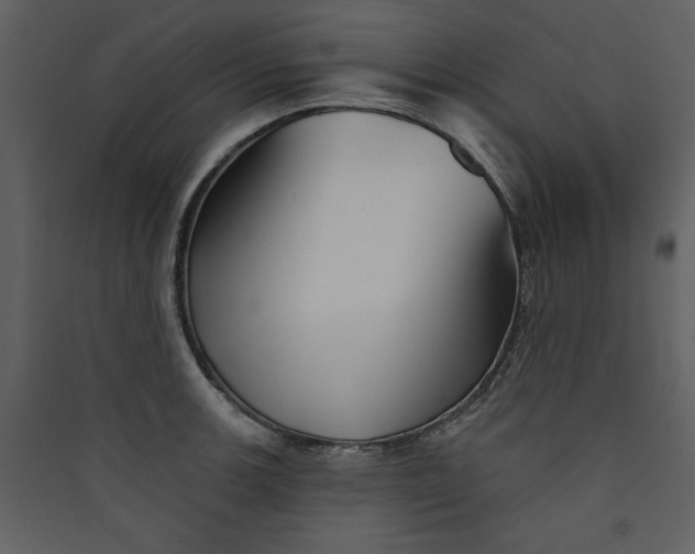 X0000089911139200707131344