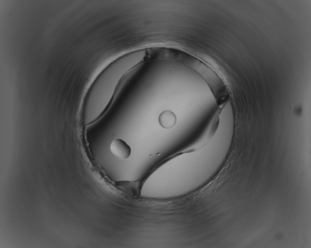 X0000089911140200707131344
