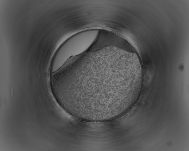 X0000089911141200707131344