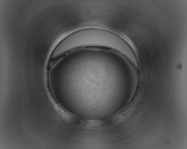 X0000089911144200707131344
