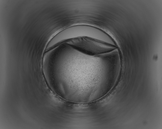 X0000089911145200707131344