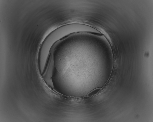 X0000089911146200707131344