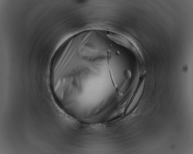 X0000089911147200707131344
