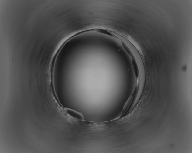 X0000089911148200707131344