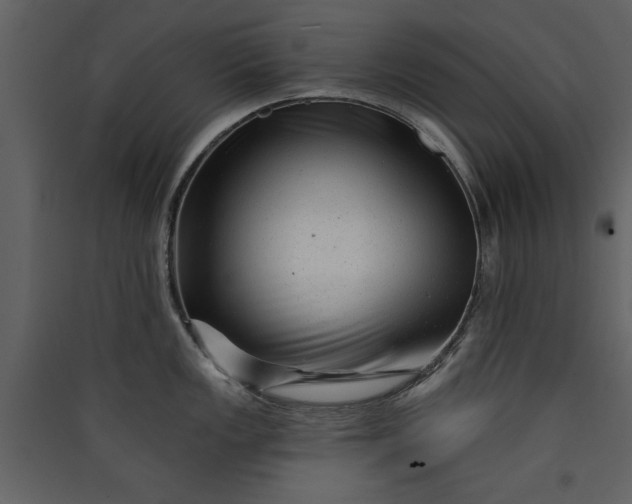 X0000089911149200707131344