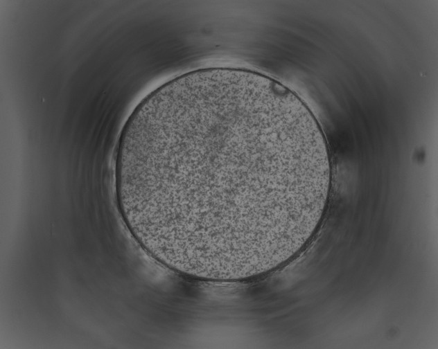 X0000089911150200707131344